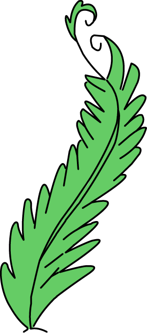 Illustration of a fern