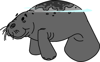 Illustrated Manatee