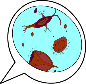 Illustrated Zooplankton