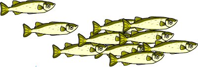 Illustration of Mullet