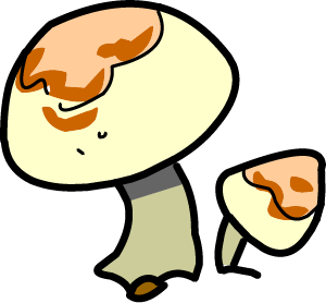 Illustrated mushrooms