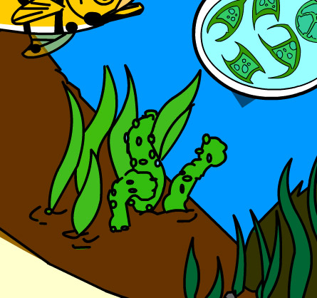 Illustration of submerged vegetation