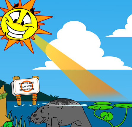 Illustration of sun rays shining on a plant