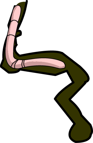 Illustrated worm