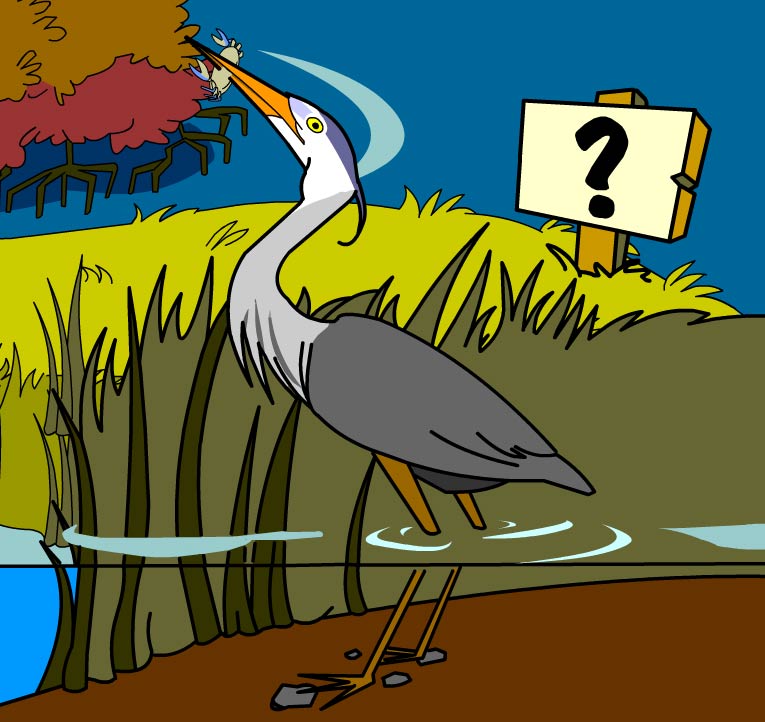 Illustration of producers in this habitat