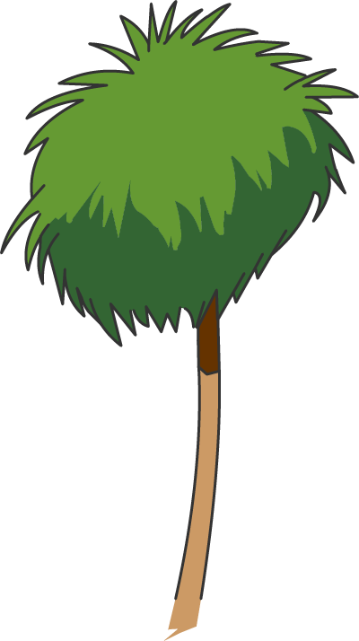 Illustration of a tall palm tree