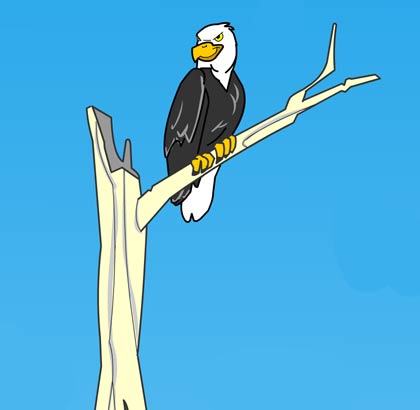 Illustration of an eagle on a tree branch