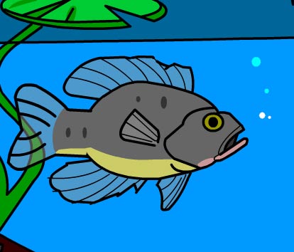 Illustration of a fish