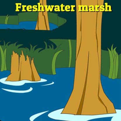Illustration of trees in a marsh