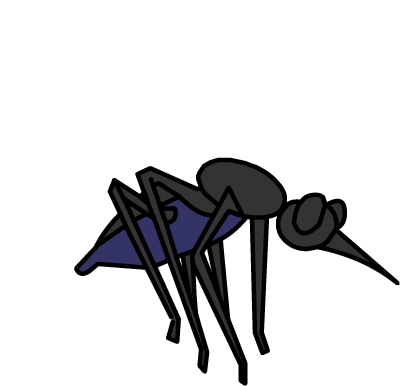 Illustration of the flying mosquito