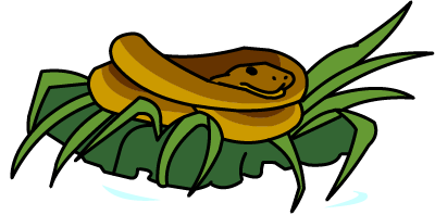 Illustration of a coiled snake